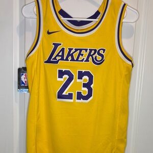 Nike Yellow and Purple Lakers #23 Basketball Jersey